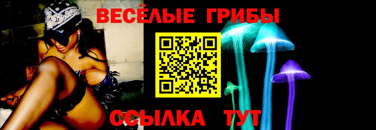 где найти наркотики  Вход с VPN  Псилоцибиновые грибы GOLDEN TEACHER  Уфа  Псилоцибиновые грибы мухоморы 